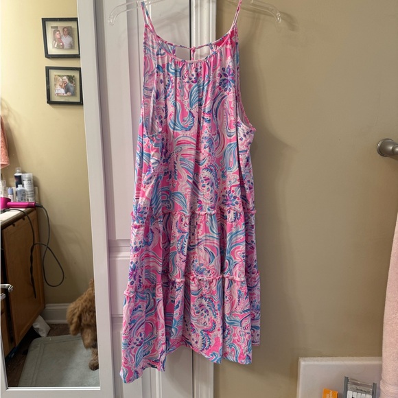 Lilly Pulitzer Evalyn Swing Dress - Picture 3 of 4